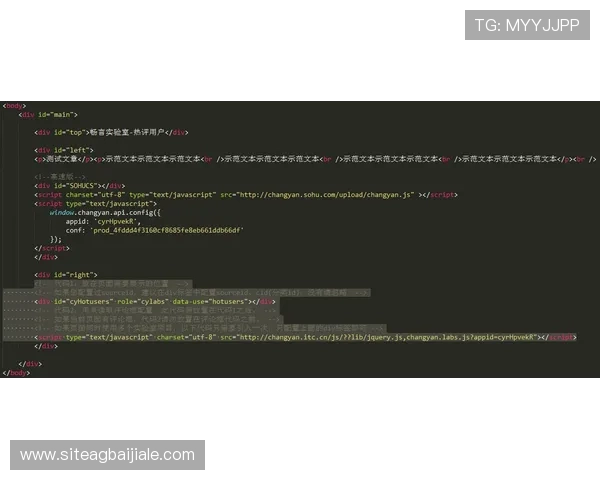 云顶集团3118登录常见错误代码解析，帮助用户快速排查与解决登录问题